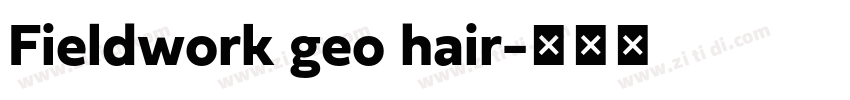 Fieldwork geo hair字体转换